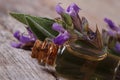 Fragrant essence of sage in a glass bottle macro. Horizontal Royalty Free Stock Photo