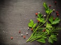 Fragrant fresh parsley and dill arranged on a diagonal dark background.