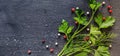 Fragrant fresh parsley and dill arranged on a diagonal dark background.