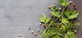 Fragrant fresh parsley and dill arranged on a diagonal dark background.