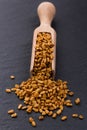 Fragrant grains of fenugreek on a rustic background