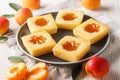 Fragrant homemade sliced cake with apricot jam close-up on a plate. Horizontal