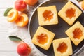 Fragrant homemade sliced cake with apricot jam close-up on a plate. Horizontal top view