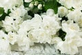 Fragrant jasmine bouquet against