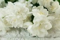 Fragrant jasmine bouquet against a white wall