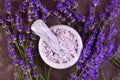 Fragrant lavender in a mortar on a gray background. Lavender sprigs for making lavender tea, oil, soap. Royalty Free Stock Photo