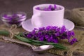 Fragrant lavender tea in a cup bouquet of fresh lavender flowers.Close-up. Royalty Free Stock Photo