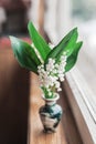 Lilies of the valley in a vase. ÃâºÃÂ°ÃÂ½ÃÂ´Ãâ¹ÃËÃÂ¸ ÃÂ² ÃÂ²ÃÂ°ÃÂ·ÃÂµ