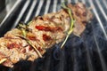Fragrant meat barbecue grill