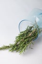 fragrant medicinal evergreen rosemary on a light background with a transparent glass and a jar of hair oil. medical