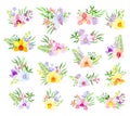 Fragrant Orchid Blooms with Labellum Arranged with Floral Branches Big Vector Set