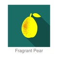 Fragrant pear fruit flat icon, vector illustration Royalty Free Stock Photo