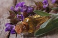 Fragrant sage oil in a glass bottle Royalty Free Stock Photo