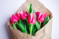 Fragrant smell of fresh spring tulips in a paper wrapper