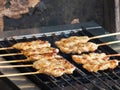 fragrant smoke wafted through the air as the grilled pork skewers sizzled on the hot grill, their tantalizing aroma captivating