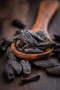 Fragrant tonka beans for baking and cooking Royalty Free Stock Photo