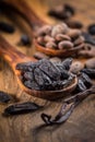 Fragrant tonka and cocoa beans with vanilla beans for baking and cooking Royalty Free Stock Photo