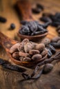 Fragrant tonka and cocoa beans with vanilla beans for baking and cooking Royalty Free Stock Photo