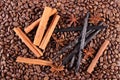 Fragrant vanilla, cinnamon sticks, star anise on coffee grains