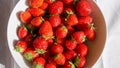 Marat des bois strawberries from Perigord Noir in France Royalty Free Stock Photo