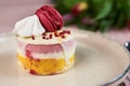 Framboise cake with marshmallow and macaron Royalty Free Stock Photo