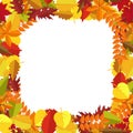 Frame with autumn colorful leaves. Fall season greeting card, poster, flyer., generic fall background etc.