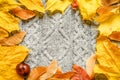 a frame of autumn fallen orange maple leaves and seeds and red chestnut on the background of a cozy gray fall knitted wool sweater