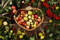 Frame of autumn fruits, apples and pears wooden background. Copy space. Harvest concept. A basket full of fruit. Juicy autumn