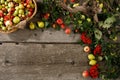 Frame of autumn fruits, apples and pears wooden background. Copy space. Harvest concept