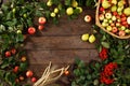 Frame of autumn fruits, apples and pears wooden background. Copy space. Harvest concept