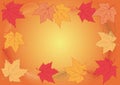 The frame of the autumn leaves Royalty Free Stock Photo