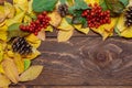 Frame autumn leaves, berries on wooden background
