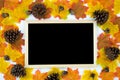 Frame of autumn leaves with blackboard. Dried leaves, pumpkins, flowers on white background. Autumn, fall, Halloween, Thanksgiving Royalty Free Stock Photo