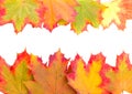 Frame from autumn maple leaves Royalty Free Stock Photo