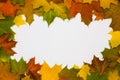 Frame from autumn maple leaves Royalty Free Stock Photo