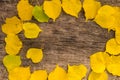 Frame of yellow leaves on rustic wooden background Royalty Free Stock Photo