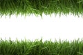 Telaio erba verde 