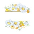 Frame banner with watercolor chamomile and honeycomb