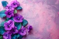Frame of beautiful purple pansy flowers Royalty Free Stock Photo