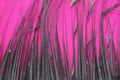 Frame of black feathers on a Pink background. Emo style frame made of boa feather scarf isolated on purple. exotic soft beautifu Royalty Free Stock Photo