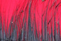 Frame of black feathers on a red background. Emo style frame made of boa feather scarf isolated on red. exotic soft beautiful bl