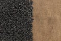 Frame of black sunflower seeds with copy space for text Royalty Free Stock Photo