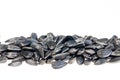 Frame Black Sunflower seeds isolated on white Royalty Free Stock Photo