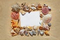 Frame blank space made of colorful beautiful natural seashells on sand background on sea side shore