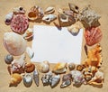 Frame blank space made of colorful beautiful natural seashells on sand background on sea side shore