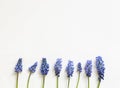 Frame of blue spring flowers. Flat lay. Close-up. Empty space for inspirational texts, beautiful quotes or positive Royalty Free Stock Photo