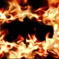 Frame of blurred bright burning hot fire flames against black background Royalty Free Stock Photo