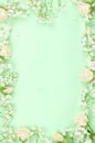 Frame border bouquets of a white gypsophila flowers on a pale green mint background