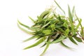 Frame, border made of fresh Eucalyptus with long leaves. Green branches isolated on white table background. Floral