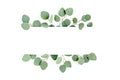 Frame, border made of green leaves eucalyptus isolated on white background. flat lay, top view Royalty Free Stock Photo